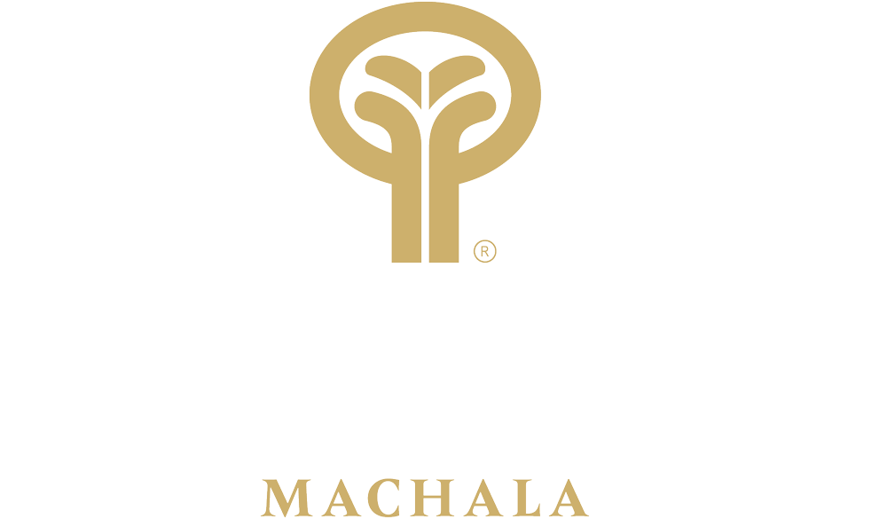 Oro Verde Machala Logo